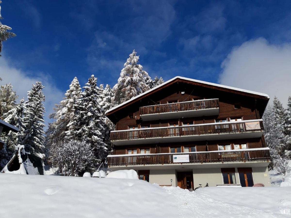 Laerchenwald Lodge เบลวัลด์ ภายนอก รูปภาพ