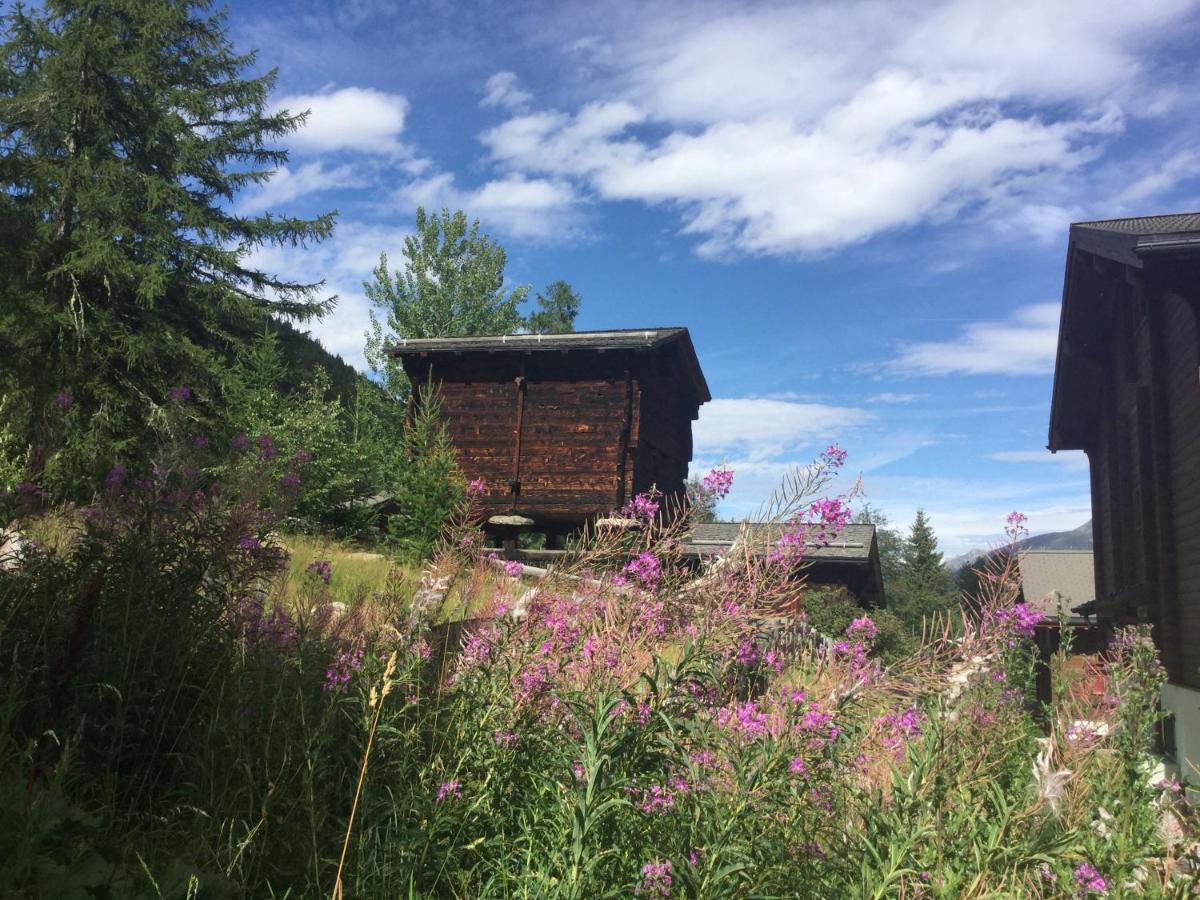 Laerchenwald Lodge เบลวัลด์ ภายนอก รูปภาพ