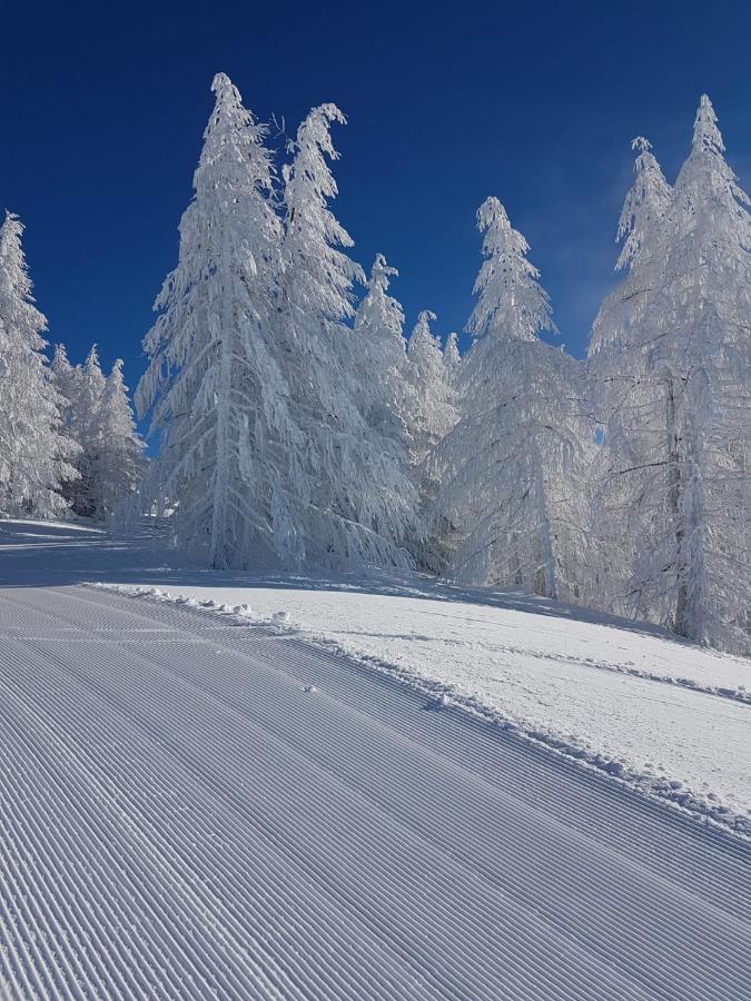 Laerchenwald Lodge เบลวัลด์ ภายนอก รูปภาพ